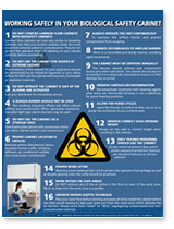 Working Safely in your BSC poster
